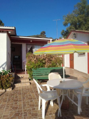 Nelly's House